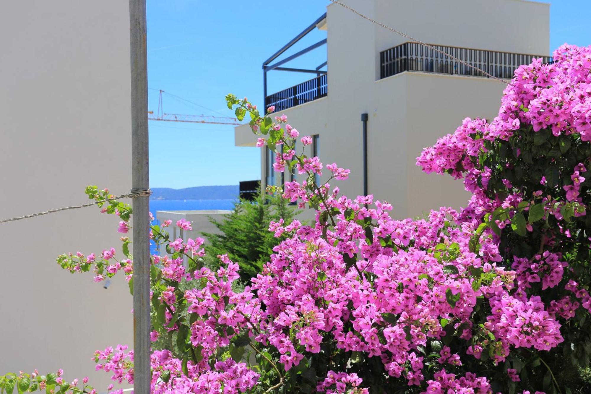 Family Friendly Apartments With A Swimming Pool Businci, Ciovo - 11232 Τρογκίρ Εξωτερικό φωτογραφία
